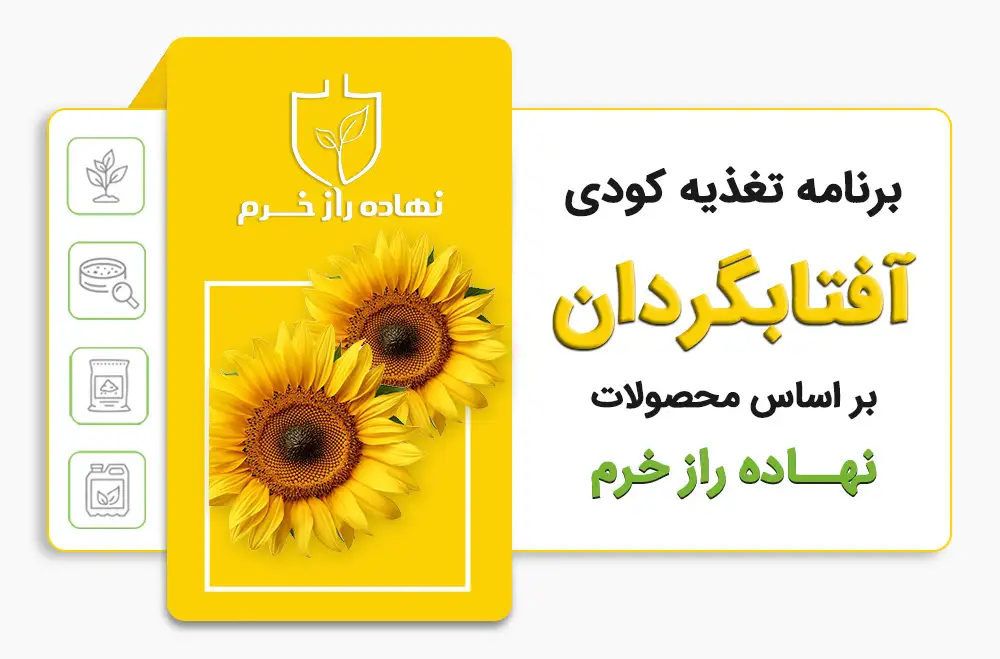 برنامه کودی آفتابگردان- شرکت نهاده راز خرم