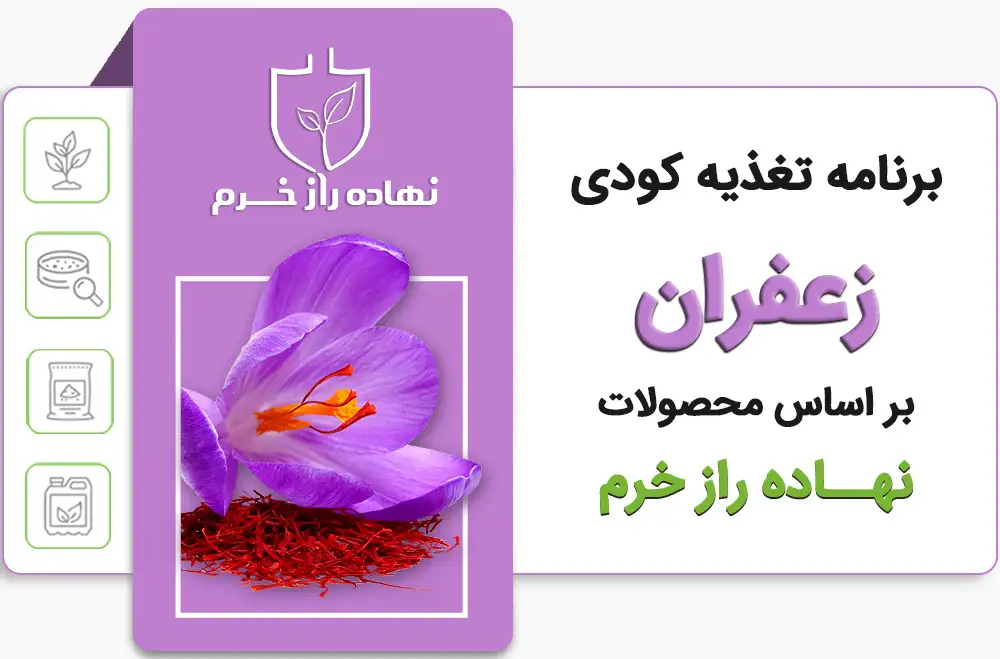 برنامه کودی زعفران