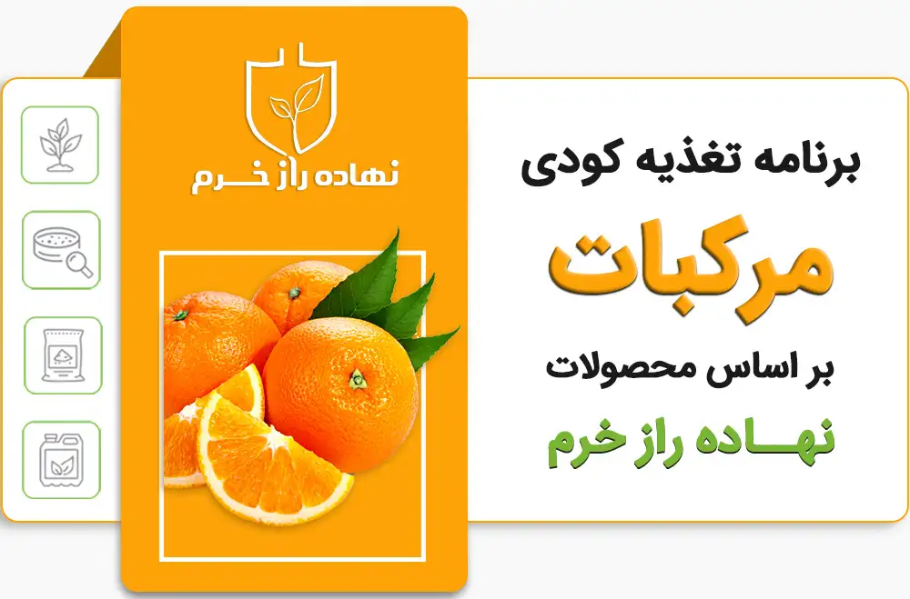 برنامه تغذیه کودی مرکبات - شرکت پخش نهاده های کشاورزی نهاده راز خرم