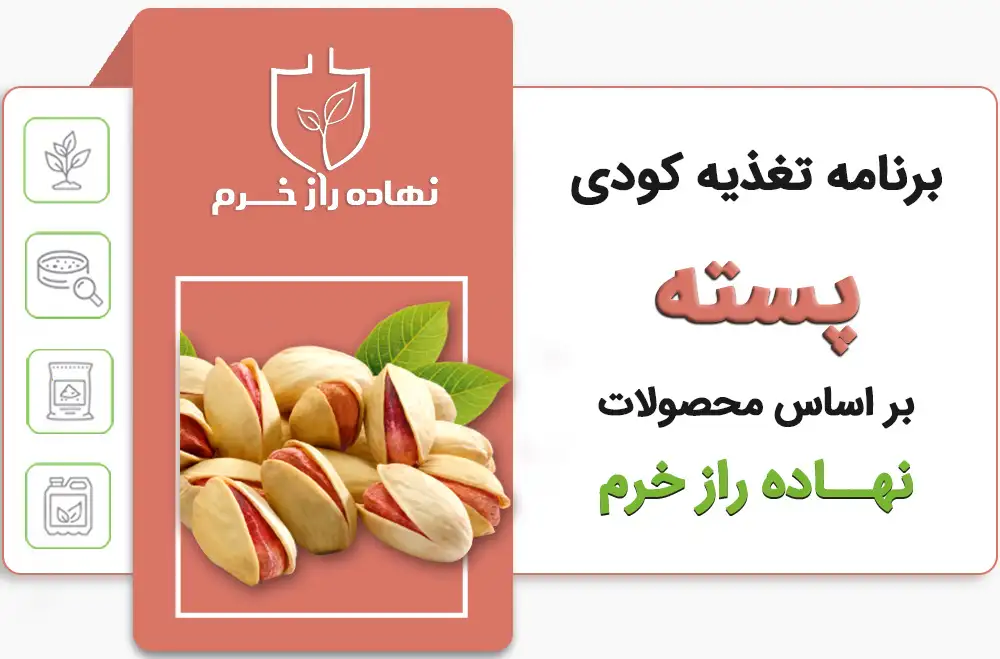 برنامه تغذیه پسته - شرکت پخش نهاده های کشاورزی نهاده راز خرم