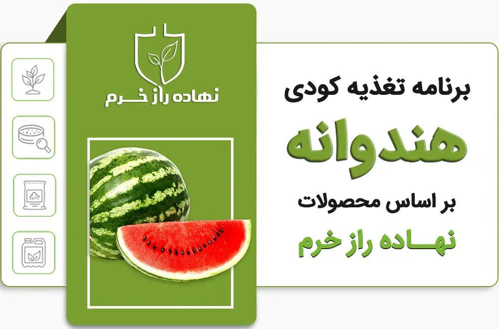 برنامه تغذیه کودی هندوانه- شرکت پخش نهاده های کشاورزی نهاده راز خرم
