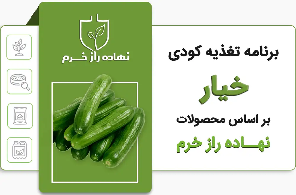 برنامه تغذیه کودی خیار - شرکت پخش نهاده های کشاورزی نهاده راز خرم