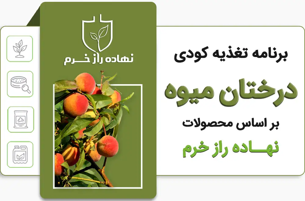 برنامه کودی درختان میوه- شرکت پخش نهاده های کشاورزی نهاده راز خرم