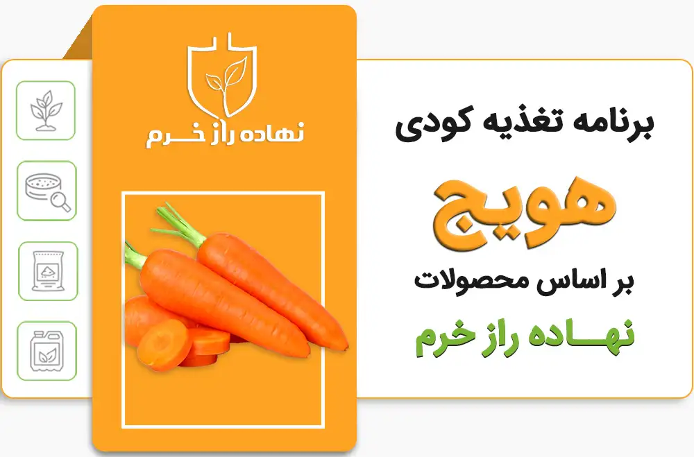 برنامه کودی هویج - شرکت پخش سم و کود کشاورزی نهاده راز خرم