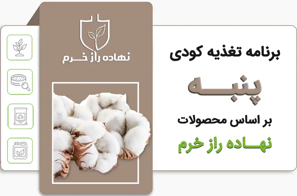 برنامه تغذیه پنبه- شرکت پخش سم و کود کشاورزی نهاده راز خرم