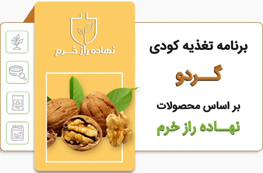 برنامه تغذیه کودی گردو- شرکت پخش نهاده های کشاورزی نهاده راز خرم