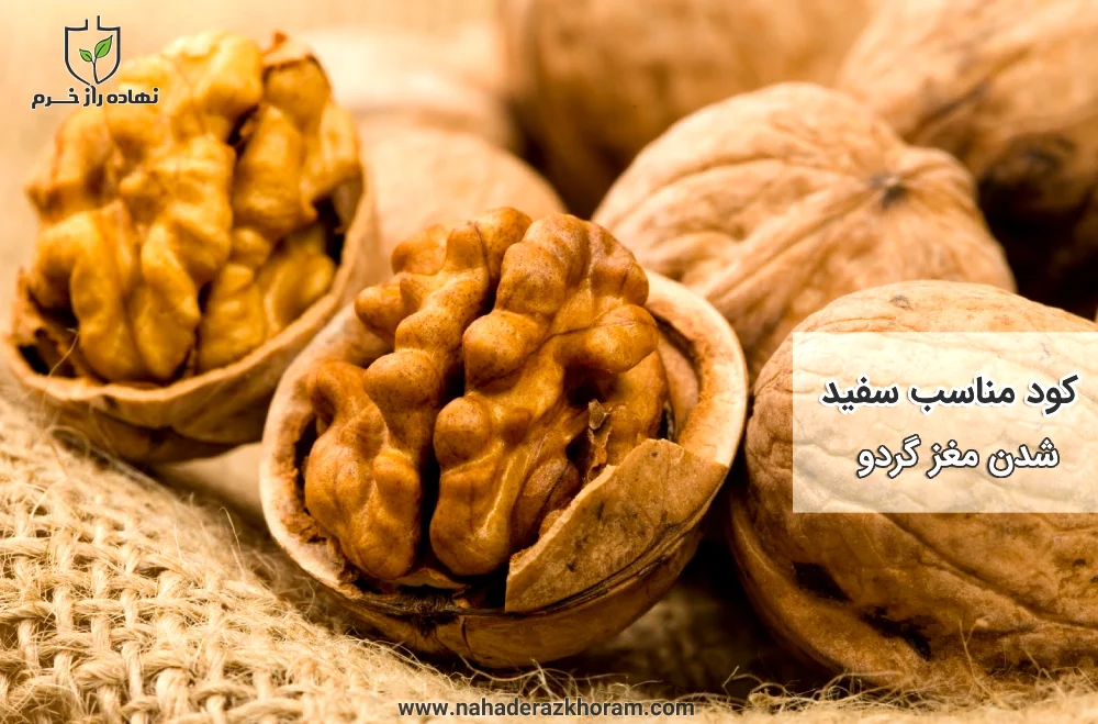 کودهای مناسب برای سفید شدن مغز گردو